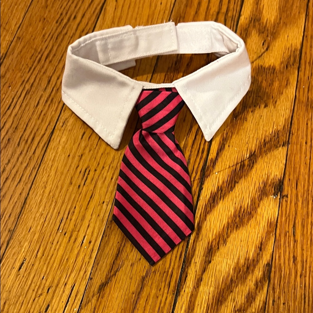Striped Pink and Black Dog Collar with Tie
